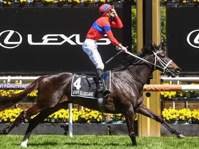 Retirement for Melbourne Cup hero Verry Elleegant, who ... Image 1